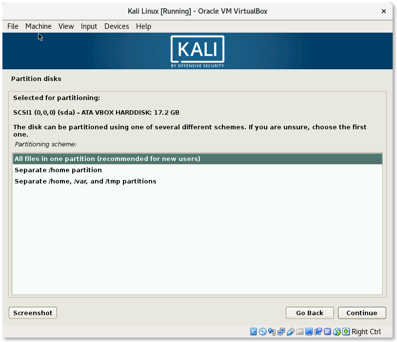 VirtualBox Kali Linux Install Partition scheme